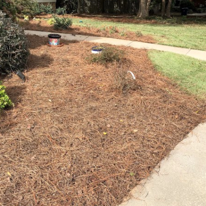Pine Straw Delivery Laying Newnan, GA