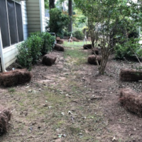 Before Photos