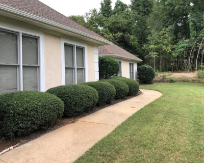 How Fast Can We Help Your Lawn?