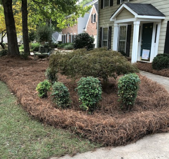 After Photos