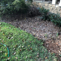 Before Photos