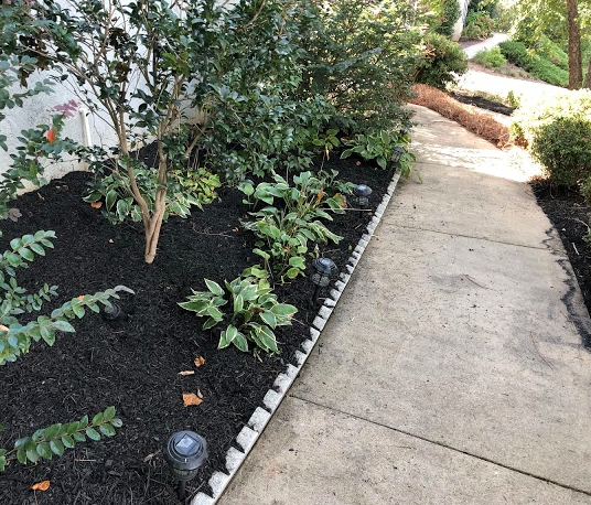 After Photos