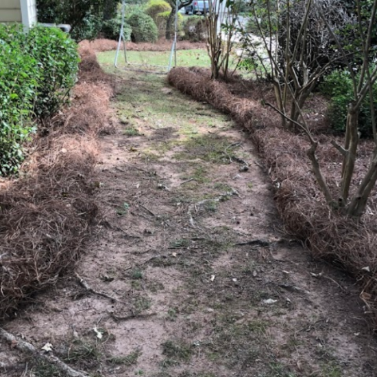 After Photos