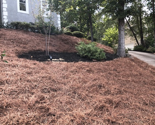 After Photos