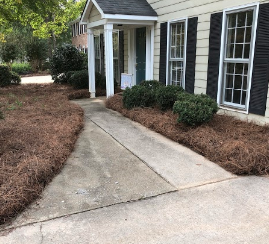 After Photos