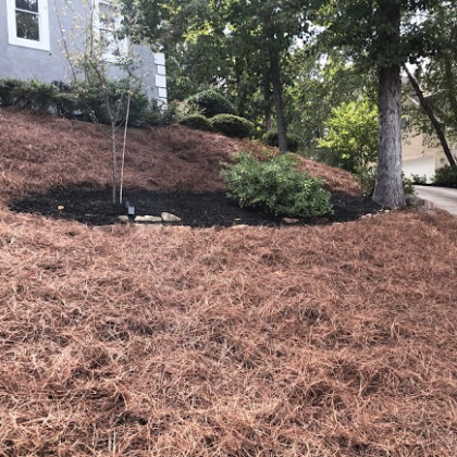 Mulch And Pine Straw Installation Newnan, GA