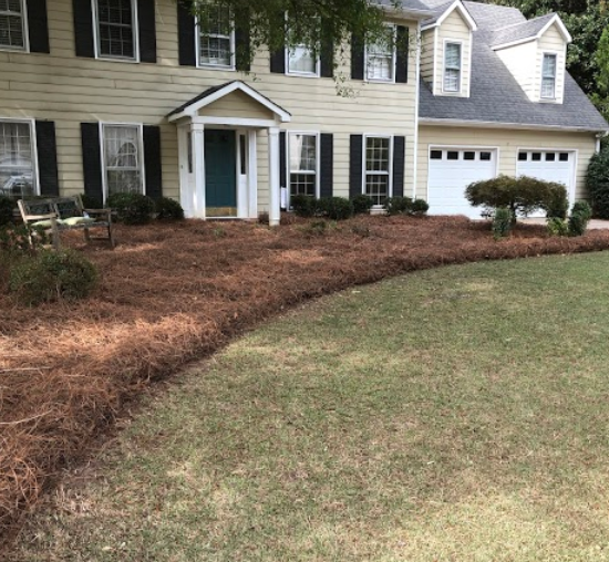 After Photos