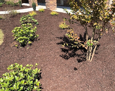 After Photos