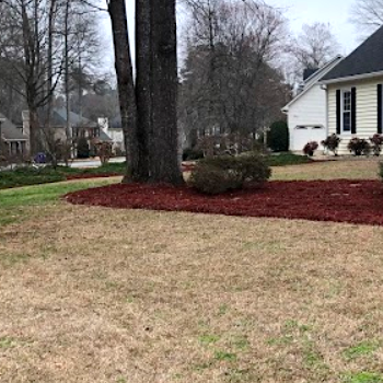 After Photos