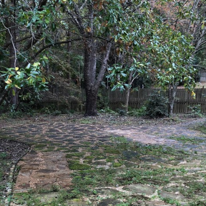 Fall Leaf Removal Newnan, GA