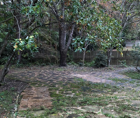 After Photos