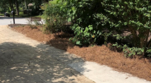 Premium Mulch & Pine Straw Services!