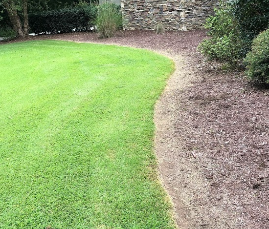 Before Photos