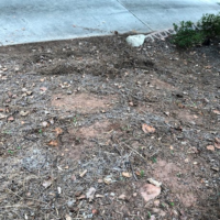Before Photos