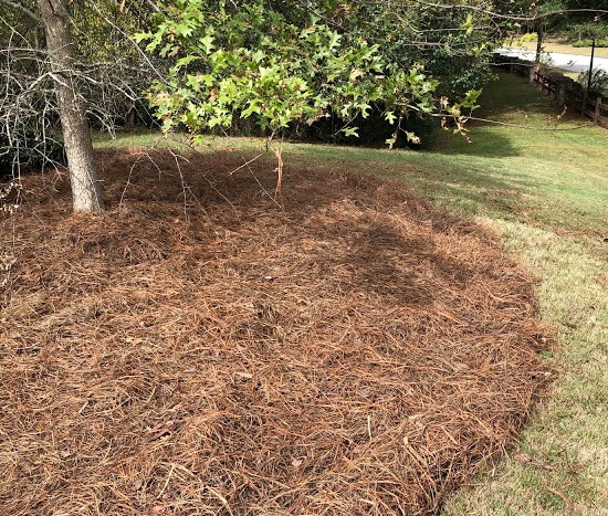 After Photos