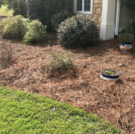 After Photos