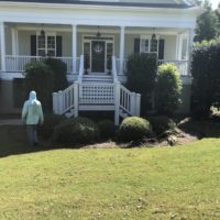 large-bush-cutting-removal-newnan-ga