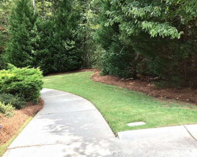 lawn-edging-newnan-ga