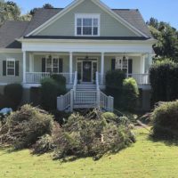 local-bush-cutting-removal-newnan-ga