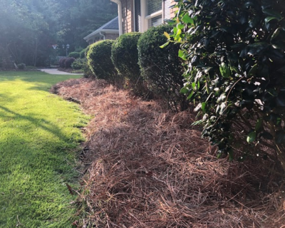local-pine-straw-installation-newnan-ga