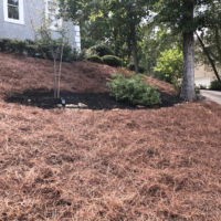 mulch-and-pine-straw-installation-newnan-ga