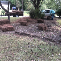 mulch-and-pine-straw-sculpting-installation-newnan-ga