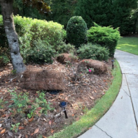 pine-straw-bale-installation-newnan-ga