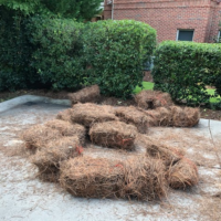 yard-pine-straw-installation-newnan-ga