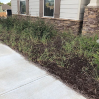 front-yard-mulch-installation-newnan-ga