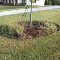 front-yard-mulch-installation-service-newnan-ga