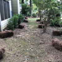 lawn-care-weed-whacking-pine-straw-installation-newnan-ga