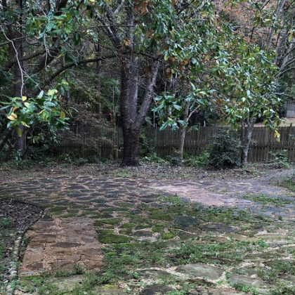 fall-leaf-removal-newnan-ga