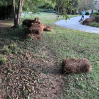 nearby-pine-straw-delivery-laying-newnan-ga