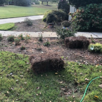 pine-straw-needle-delivery-bush-laying-newnan-ga