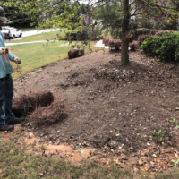 professional-pine-straw-laying-installation-newnan-ga