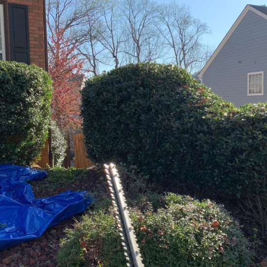 lawn-yard-care-newnan-ga